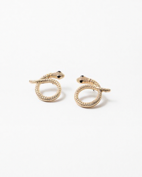 Coiled Snake Studs